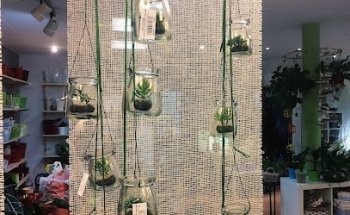 Flors i Plantes ARA