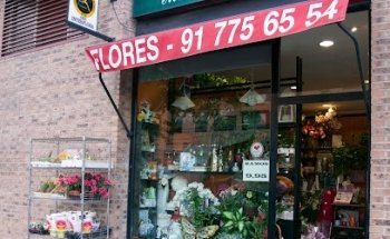 Flores María del Prado