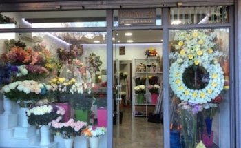 Floristería Araceli