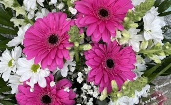 Floristería Alhoja