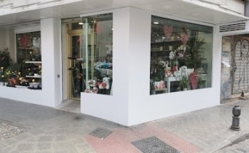 Ana Junior Florist
