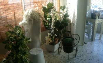 Floristería Marilo