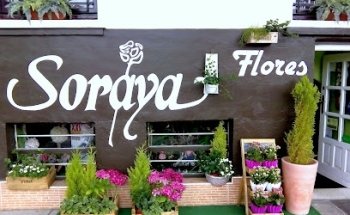 Floristería Soraya