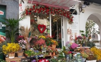 FLORISTERÍA BUENOS AIRES.