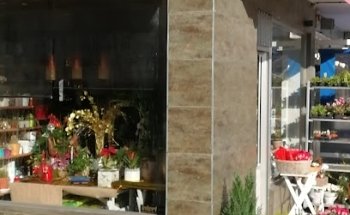 Floristería Surcos