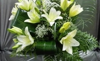 Floristería Mayte