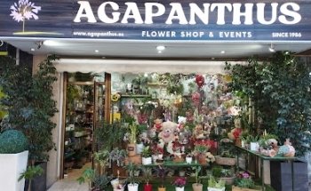 Floristería