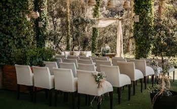 Oliveras Floristes