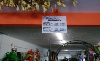 Floristería