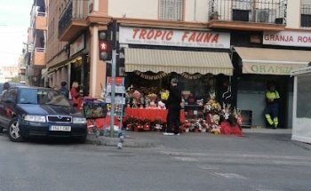 Floristería Tropic Fauna