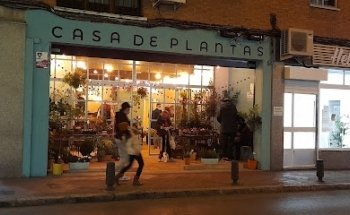 La Bonita Casa de Plantas
