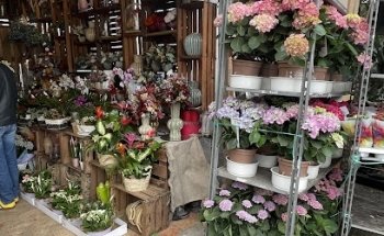 TOMAJARDIN FLORISTAS