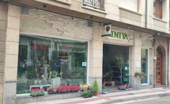 Kentya Floristas