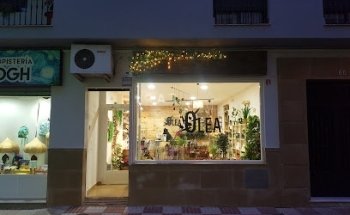Floristería Olea