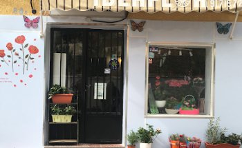 Iberflor
