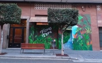 Flores Tere Paterna