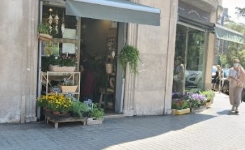Flors floristeria