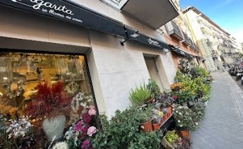 CACTO - CACTO
