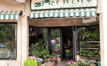 Floristería Trébole