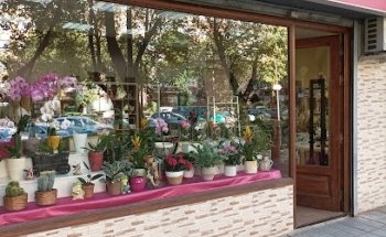 Floristeria Mamen