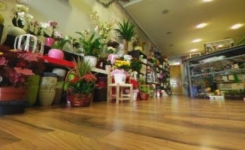 Floristería - Bambu - arte floral - Palencia