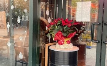 Floristería Cedro