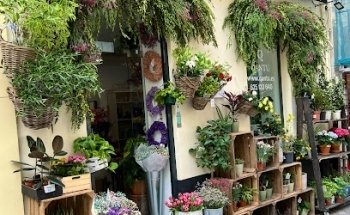 Floristería Qantu