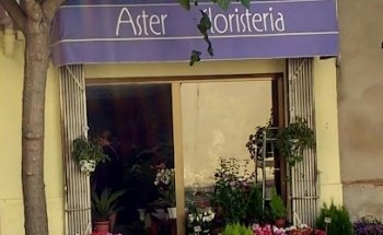 Saüc Floristería