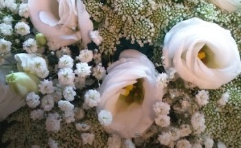Floristería Tian