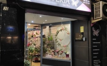 Floristeria Sant Blas Alacant