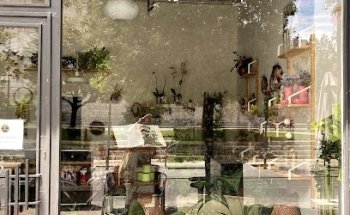 La Floristería