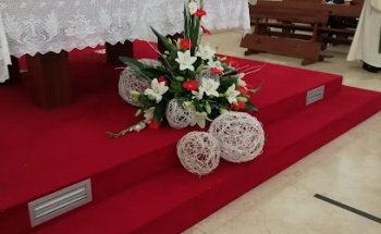 Floristería Aralia