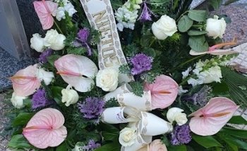 Floristería Dalia