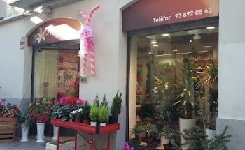 Regina Floristeria