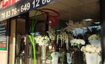 Lola´s Floristas