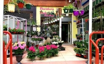 Floristería Casa Jardín