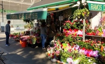 Floristeria Neus