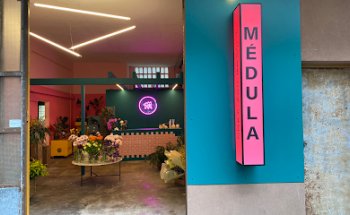 Médula