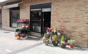 Floristeria Garazi