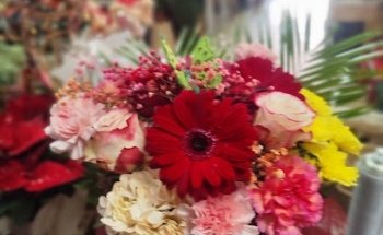Floristeria Ruth
