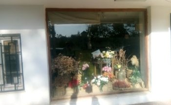 La Buganvilla