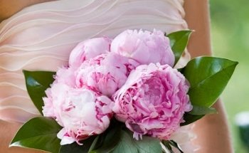 Marise Floristas