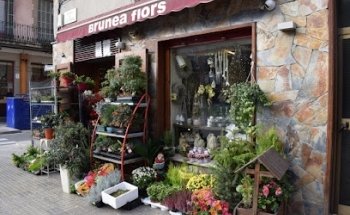 Brunea Flors