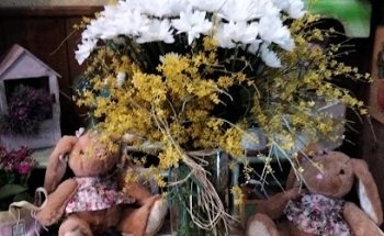 Floristería Isabel