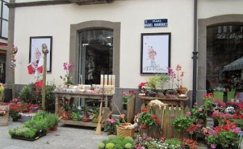 Flores la Plaza