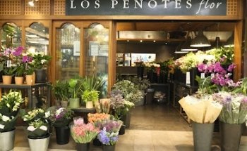 Floristería Verdecora CC Carrefour Alcobendas