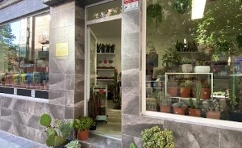 Jardin Suculento