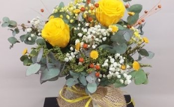 Un Món de Flors