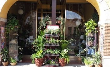Floristería Oasis