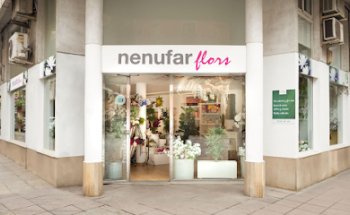 Floristeria Nenúfar Alzira